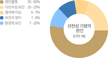도넛그래프